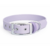 collier biothane pour chien Stylidog _20260331_151801_0030