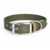 collier biothane pour chien Stylidog _20260331_151801_0031