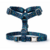 harnais Stylidog _20260331_185549_0005