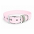 collier pour chien stylidog