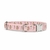 collier pour chien stylidog