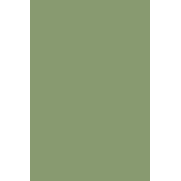 Yeabridge Green N° 287