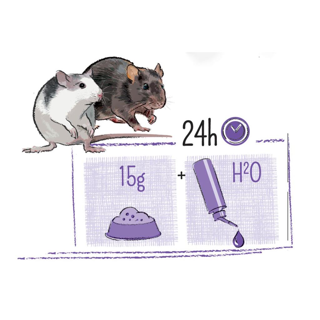 puur rat, alimentation saine et variée pour rat posologie