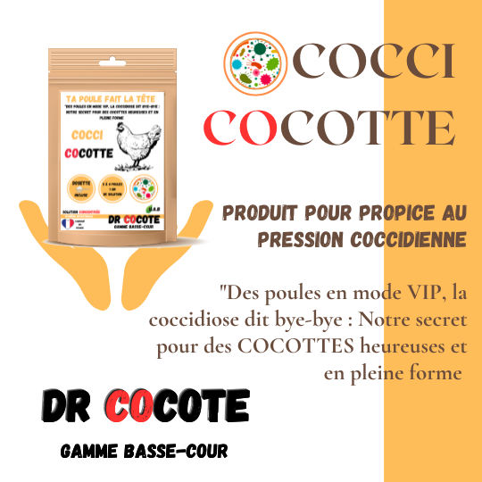 Dr cocote coccidiose cocotte