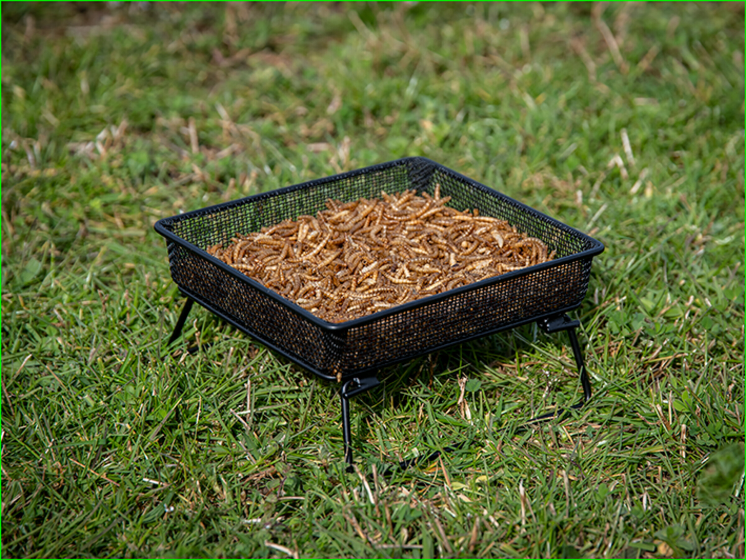Mangeoire de sol pour insectes oiseaux de la nature1