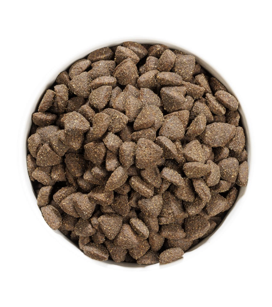 ownat grain free prime adult lamb 12kg - croquettes sans céréales à lagneau pour chiens adultes gamelle