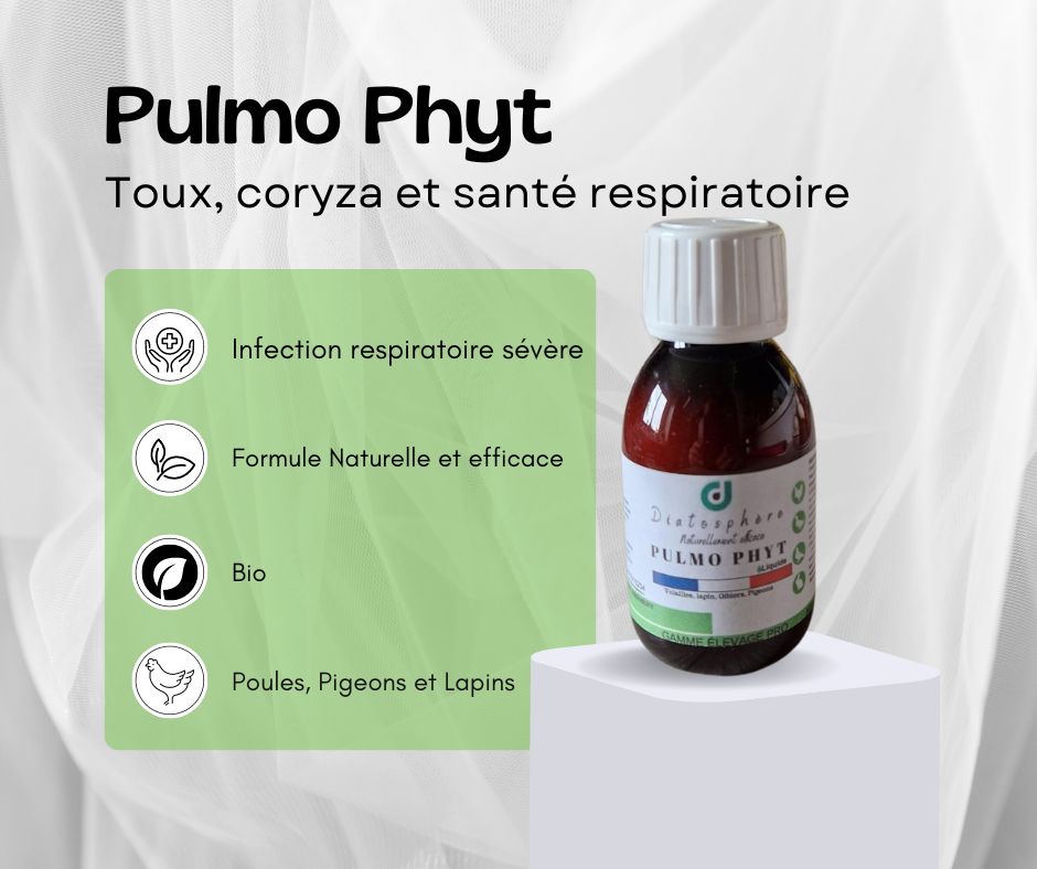 Pulmo phyt