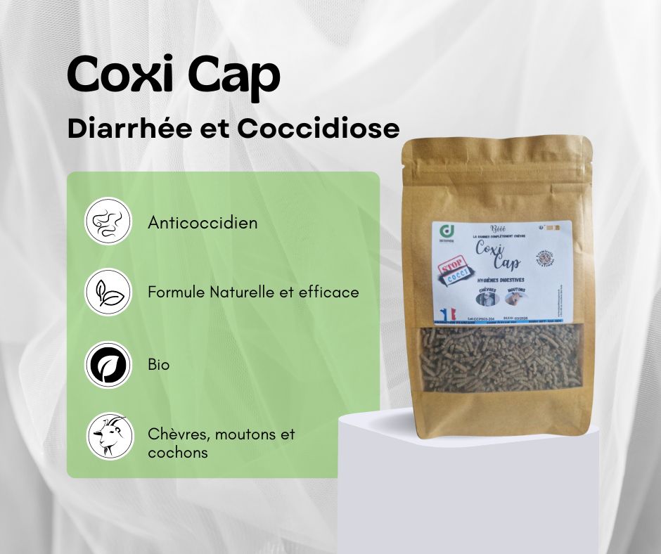 Coxi Cap (diarrhée et coccidiose)