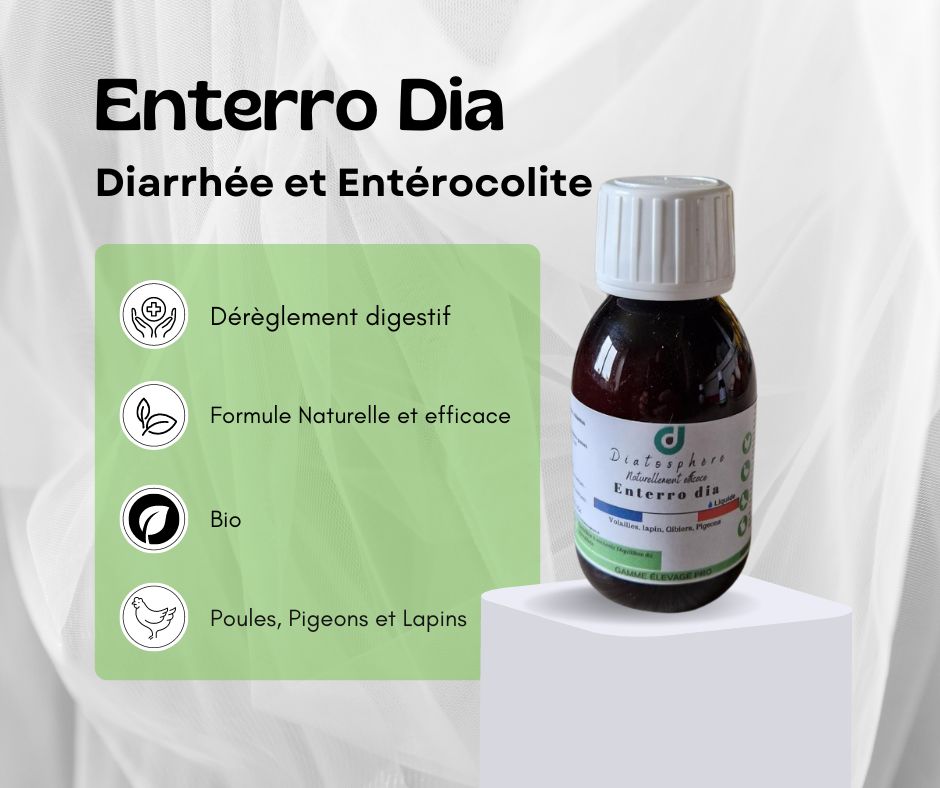 enterro dia - diarrhée poule - traitement naturel - remède naturel