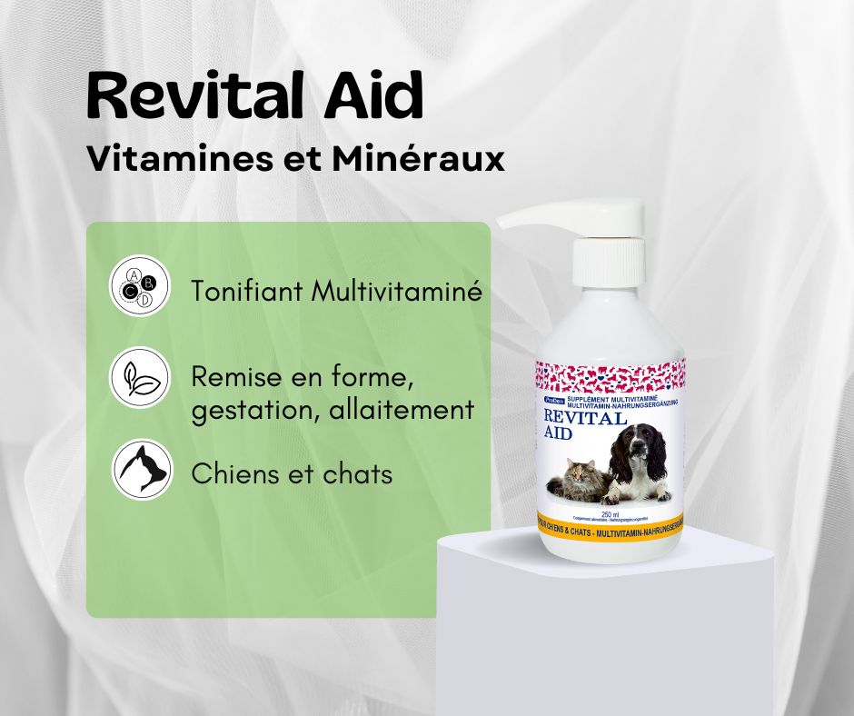 RevitalAid-250ml-complément vitamine et minéraux pour chiens et chats