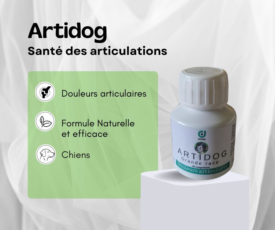 artidog-articulations chiens-douleurs articulaires