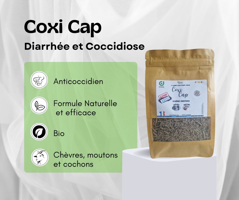 Coxi Cap (diarrhée et coccidiose)