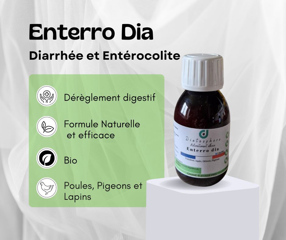 enterro dia - diarrhée poule - traitement naturel - remède naturel