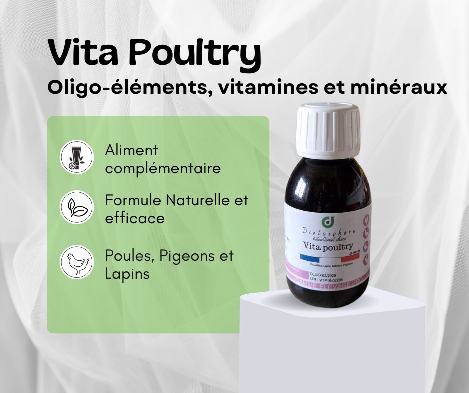 Vita Poultry, complément alimentaire pour poules, pigeons et lapins