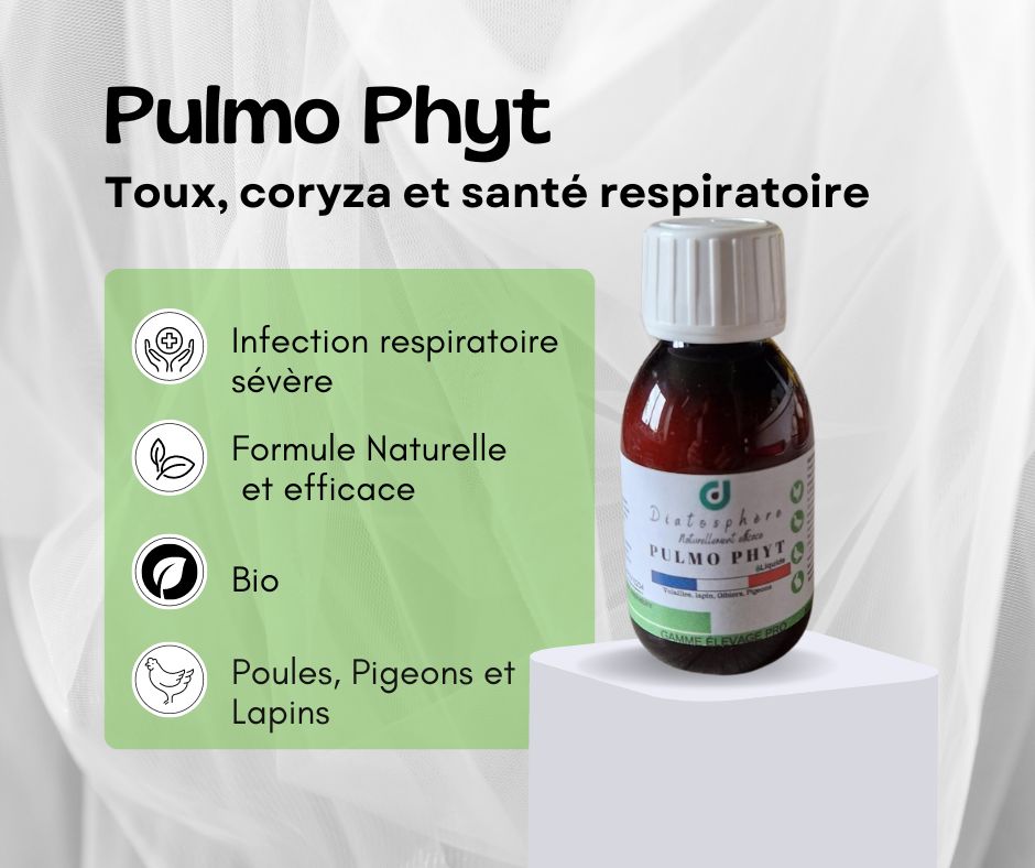 pulmo phyt, coryza de la poule, toux et éternuements, maladie respiratoire, E.coli pulmonaire