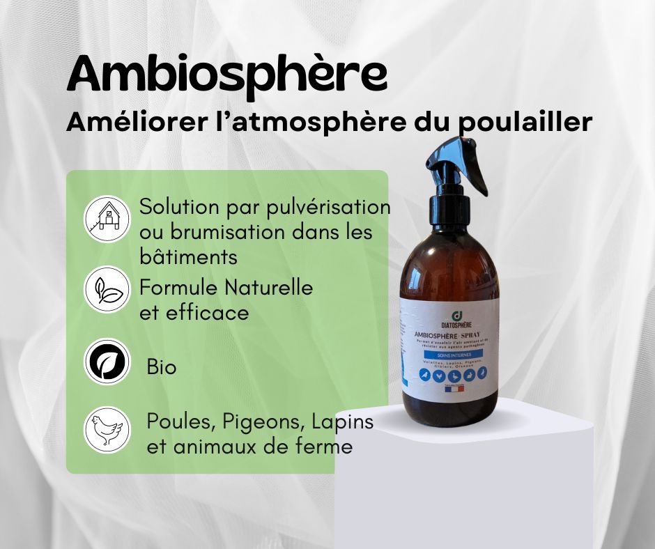 ambiosphère, améliorer l'atmoshère du poulailler