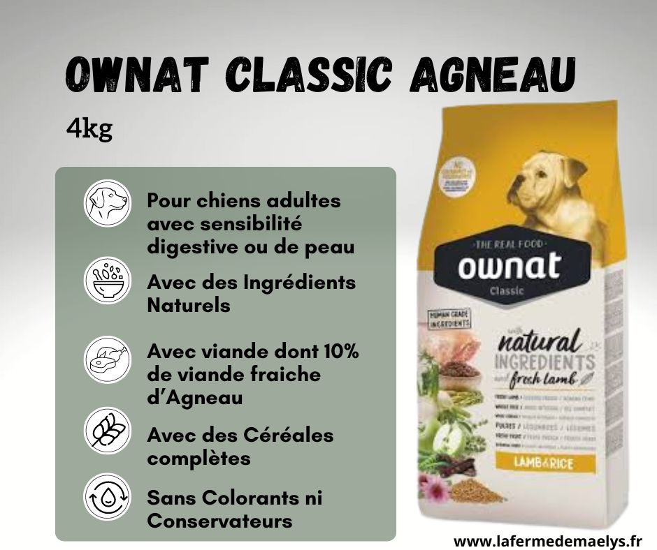 ownat classic lamb-croquettes pour chien adulte avec sensibilité digestive ou de peau 4kg