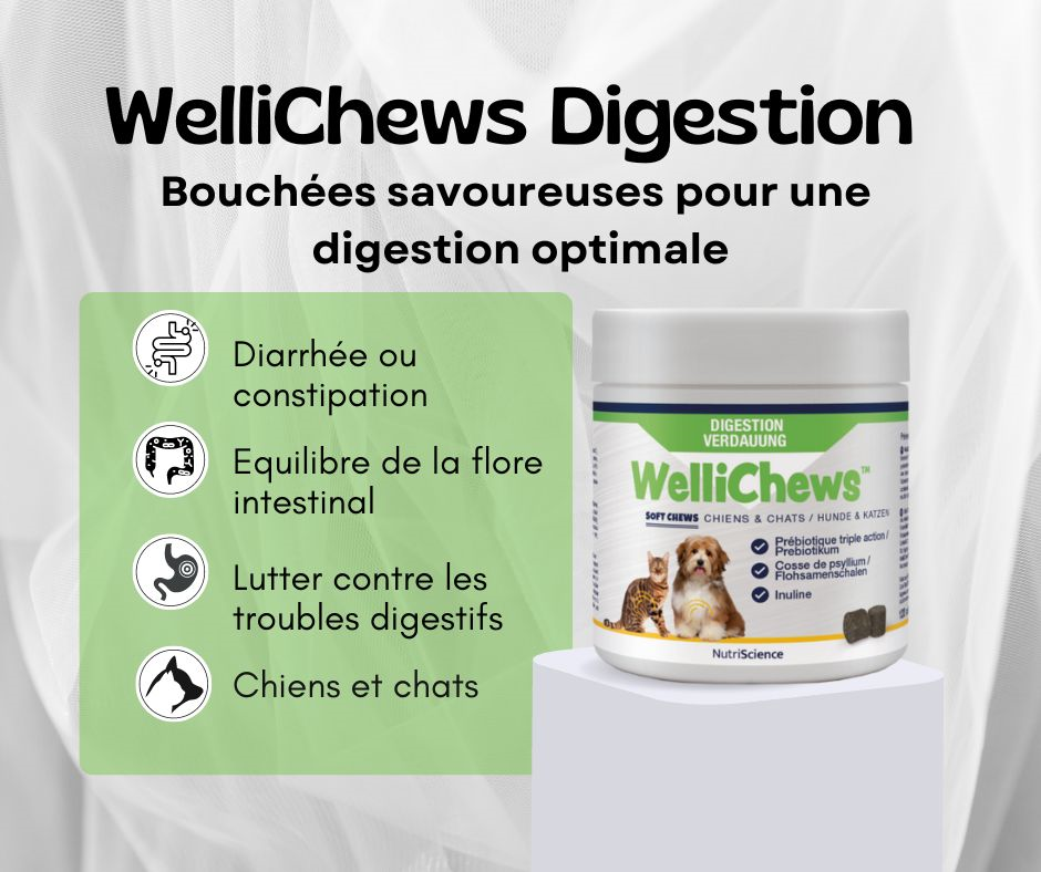 Wellichews digestion-bouchées friandises diahrée et problèmes digestifs pour chiens et chats-stress