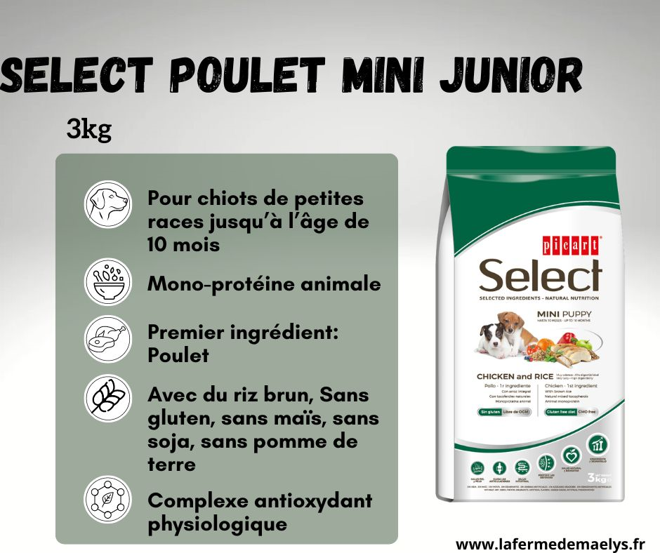 Select Poulet Mini Junior