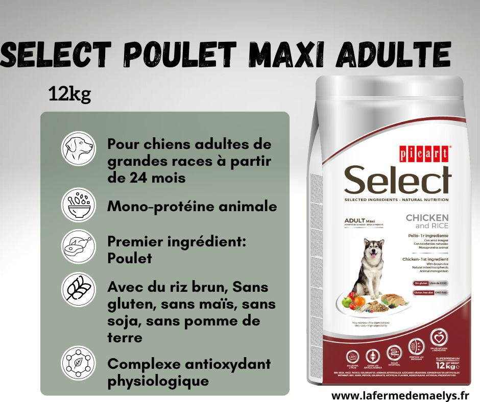 Select Poulet Maxi Adulte