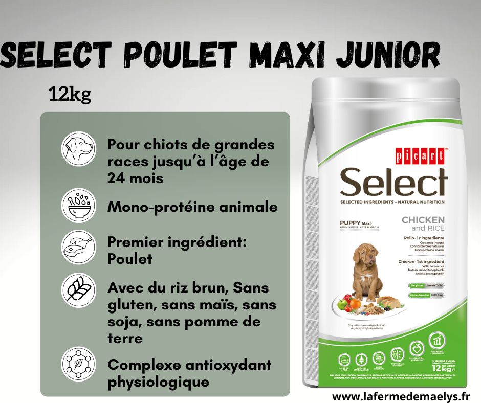 Select Poulet Maxi Junior