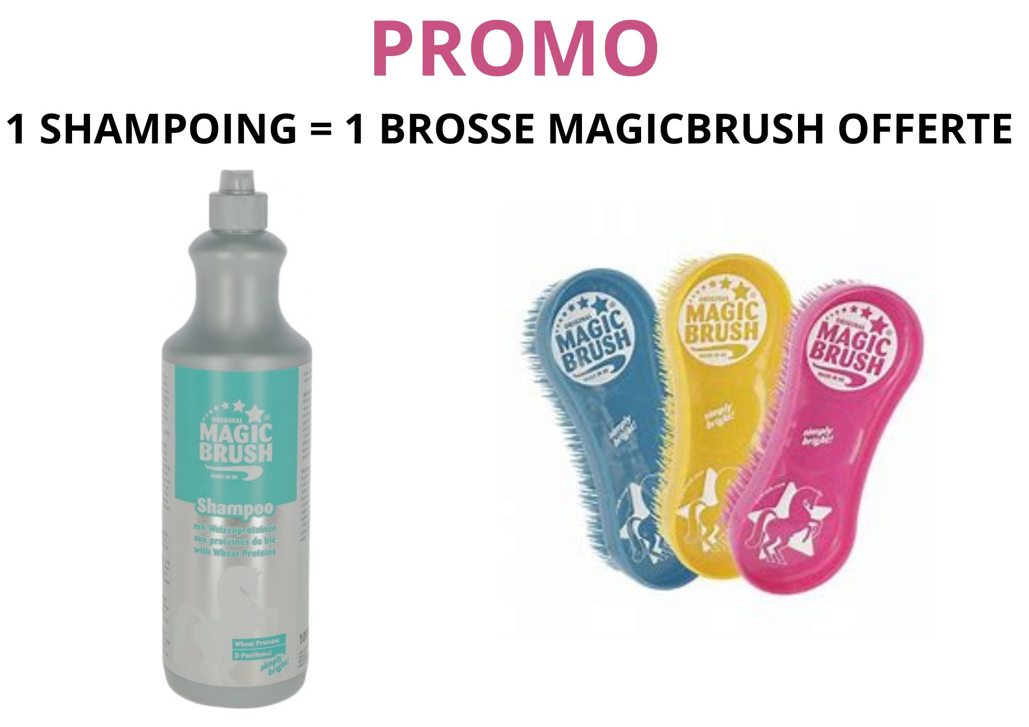 PROMO Shampooing cheval et brosse