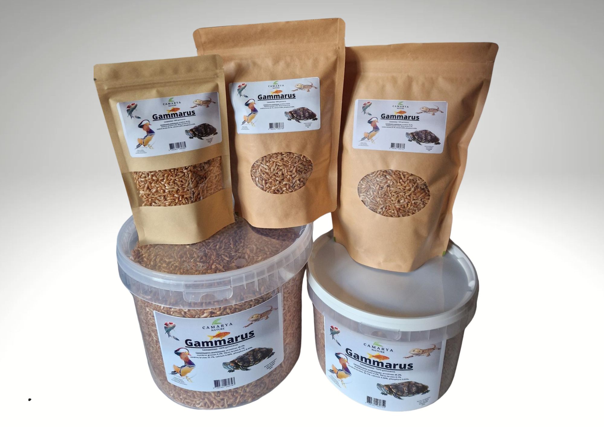 Gammarus-petites crevettes pour animaux-canards-tortues