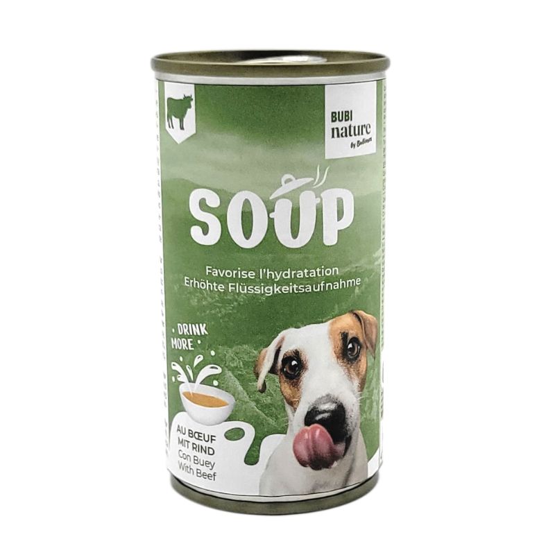 soup au saumon pour chiens