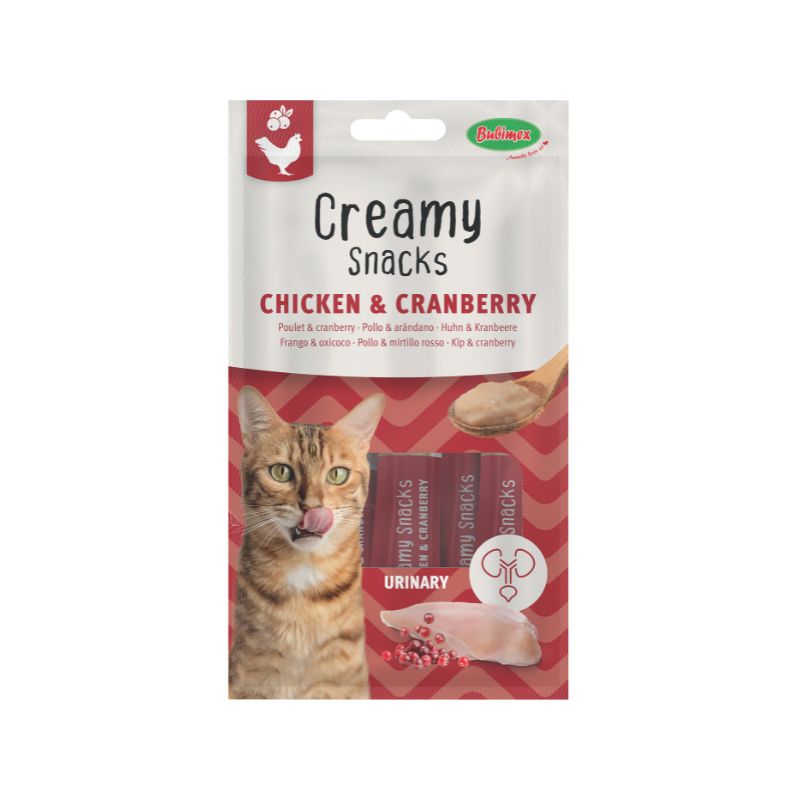 creamy poulet cranberry