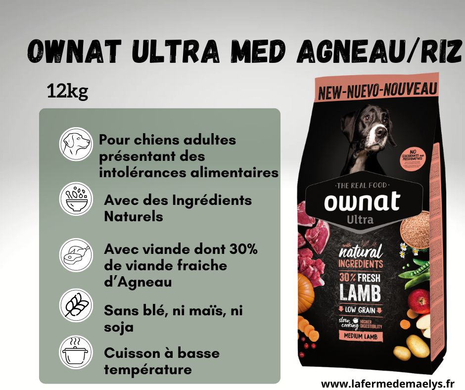ownat ultra medium lamb rice-croquettes pour chiens adultes présentant des intolérances alimentaires
