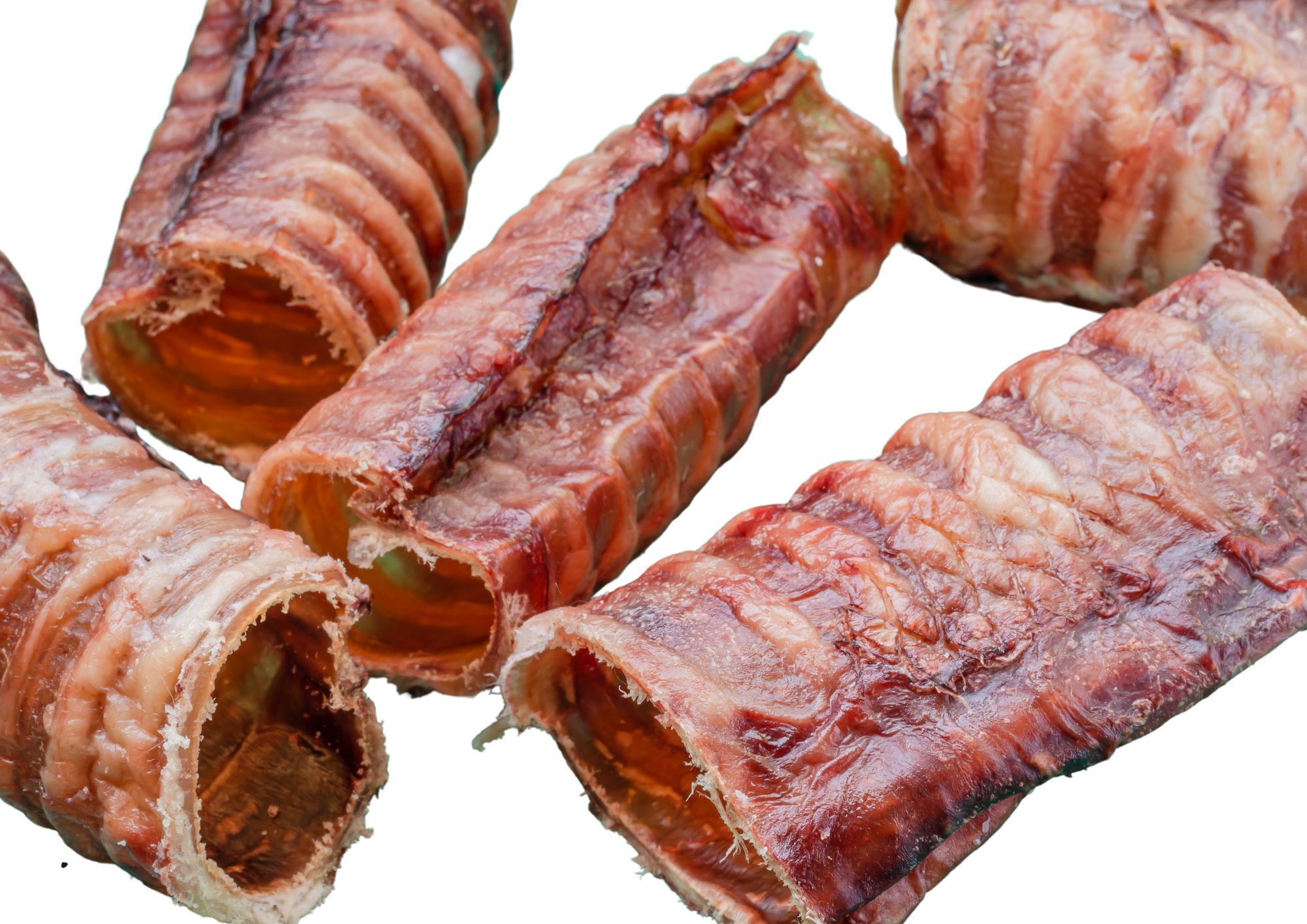 trachée de boeuf-friandise naturelle pour chiens