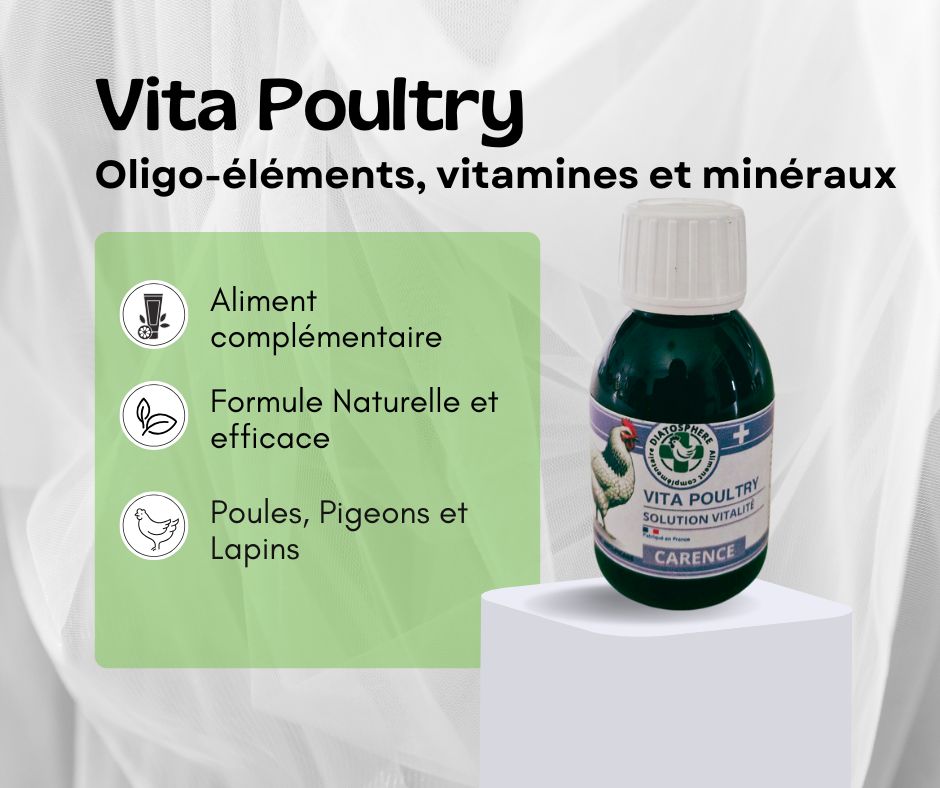 Vita Poultry, complément alimentaire pour poules, pigeons et lapins