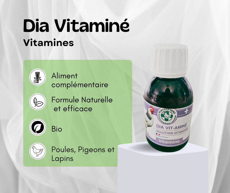 Dia vit-aminé, vitamines pour poule, pigeon et lapin