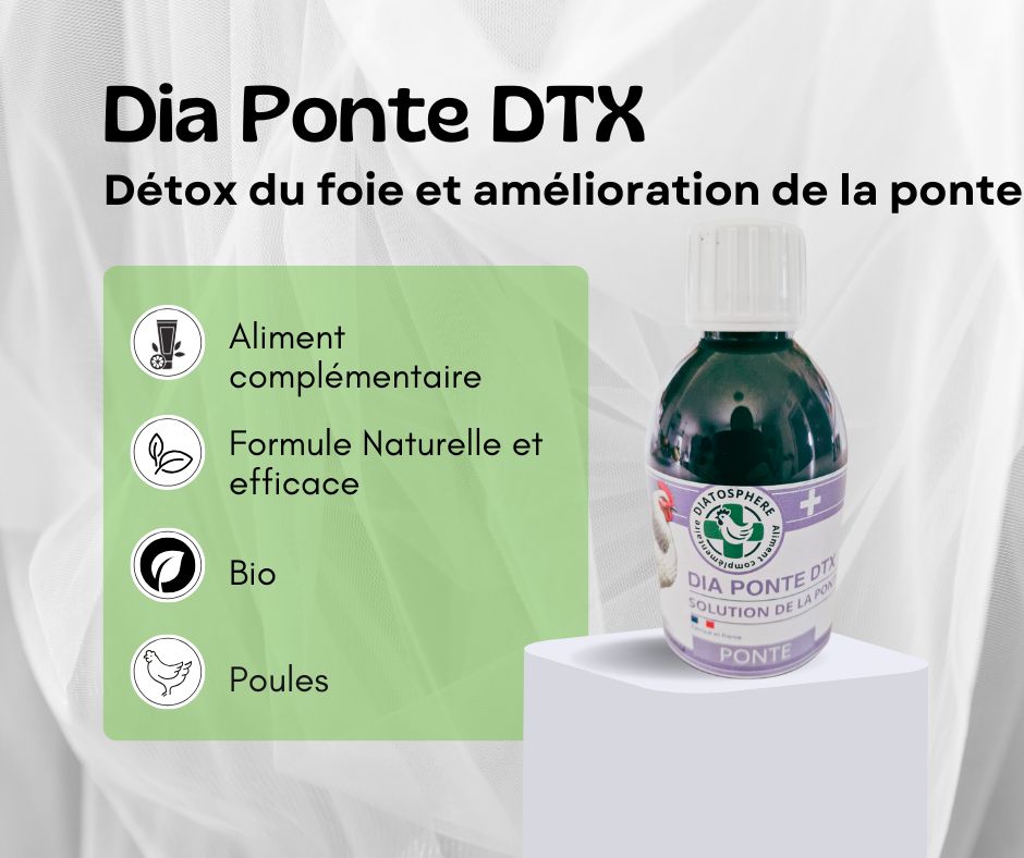 dia ponte dtx, detoxification du foie et amélioration de la ponte chez les poules et autres volailles