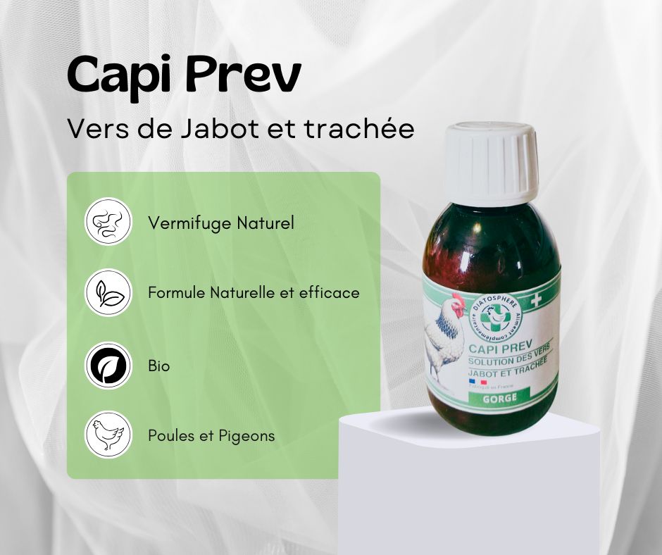 Capi prev, vers de jabot poule, vers de trachée poule, capillariose et syngamose