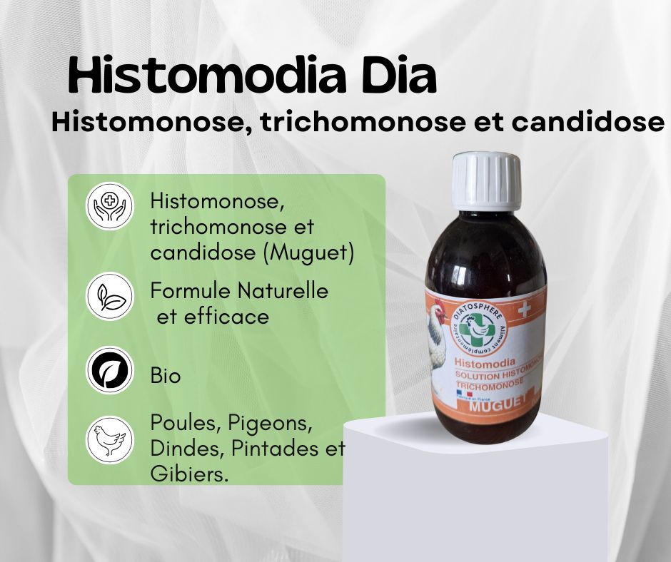 Histomodia-histomonose dinde et trichomonose pigeon-muguet oiseaux-traitement naturel