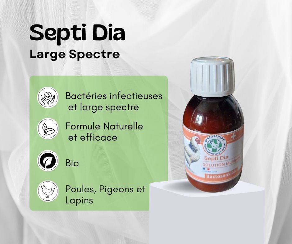 septi dia, large spectre poule, bactéries infecteuses, E coli, colibacillose