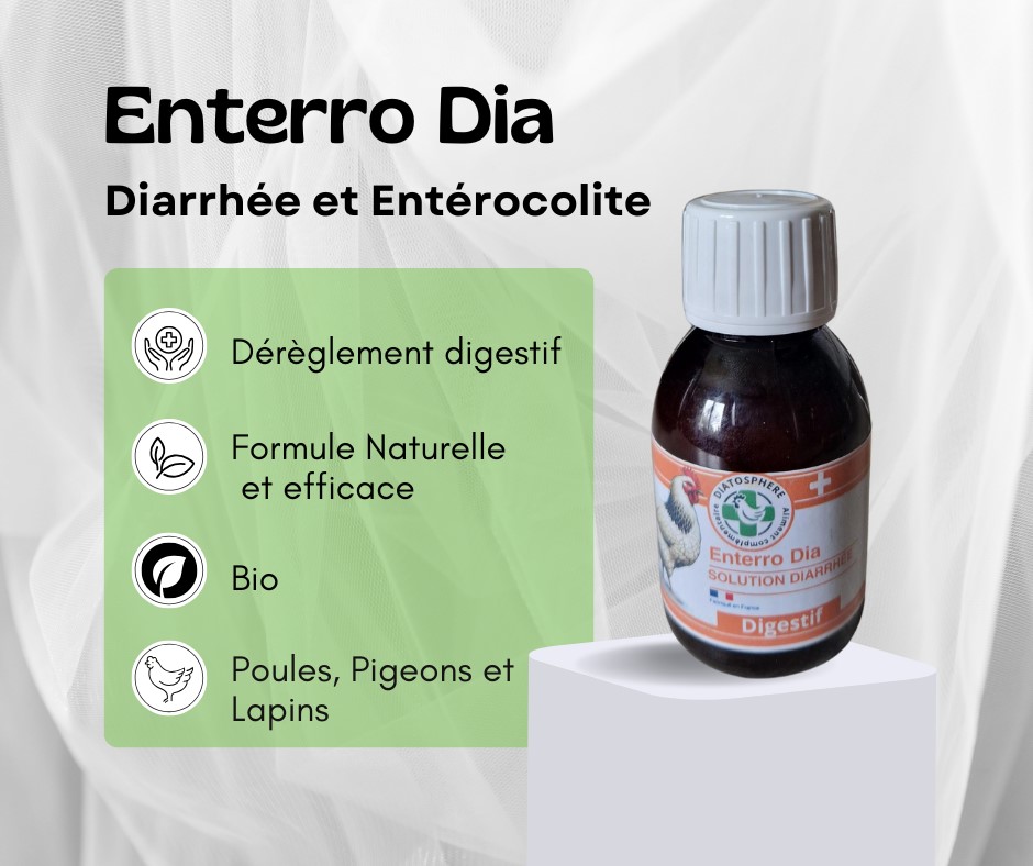 enterro dia - diarrhée poule - traitement naturel - remède naturel