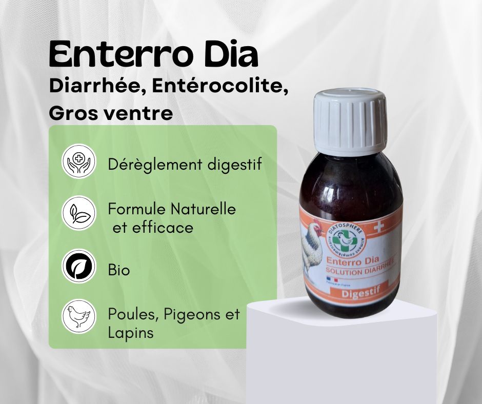 enterro dia, diarrhée lapin nain, maladie du gros ventre