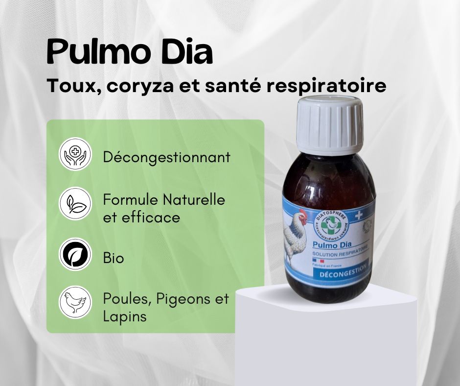 pulmo dia, coryza de la poule, toux et éternuements, maladie respiratoire