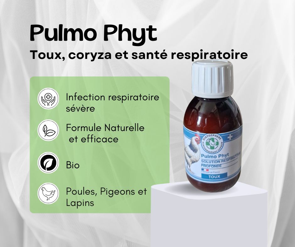 pulmo phyt, coryza de la poule, toux et éternuements, maladie respiratoire, E.coli pulmonaire