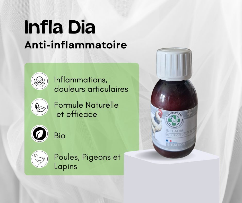 infladia, anti-inflammatoire pour poules, douleurs articulaires pour poules et lapins