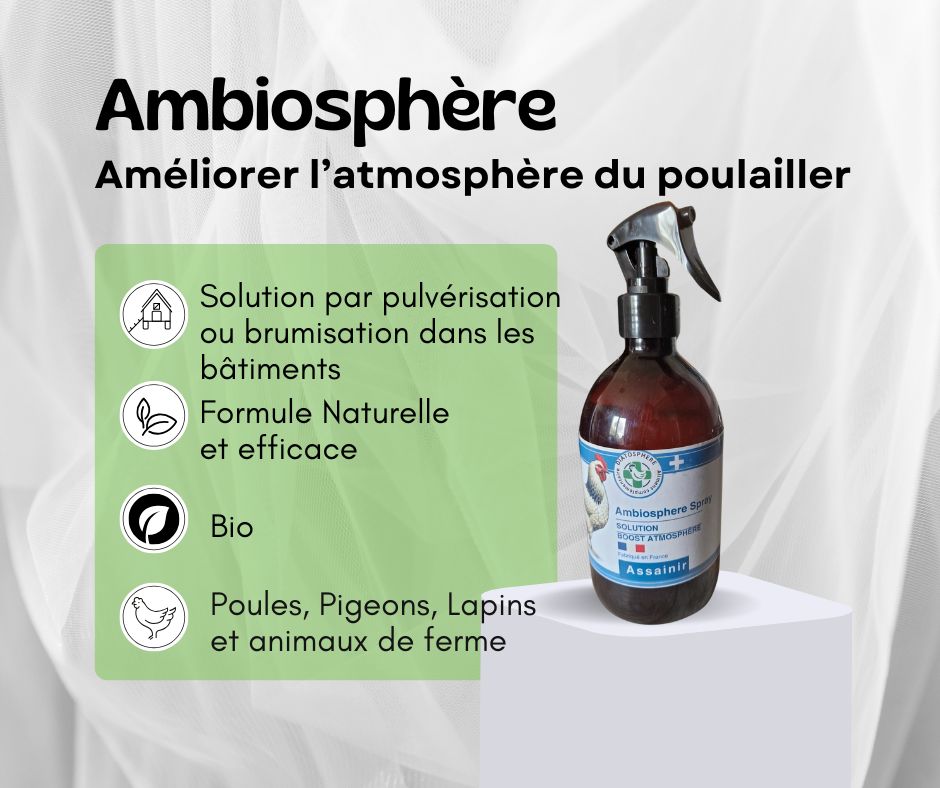 ambiosphère, améliorer latmoshère du poulailler