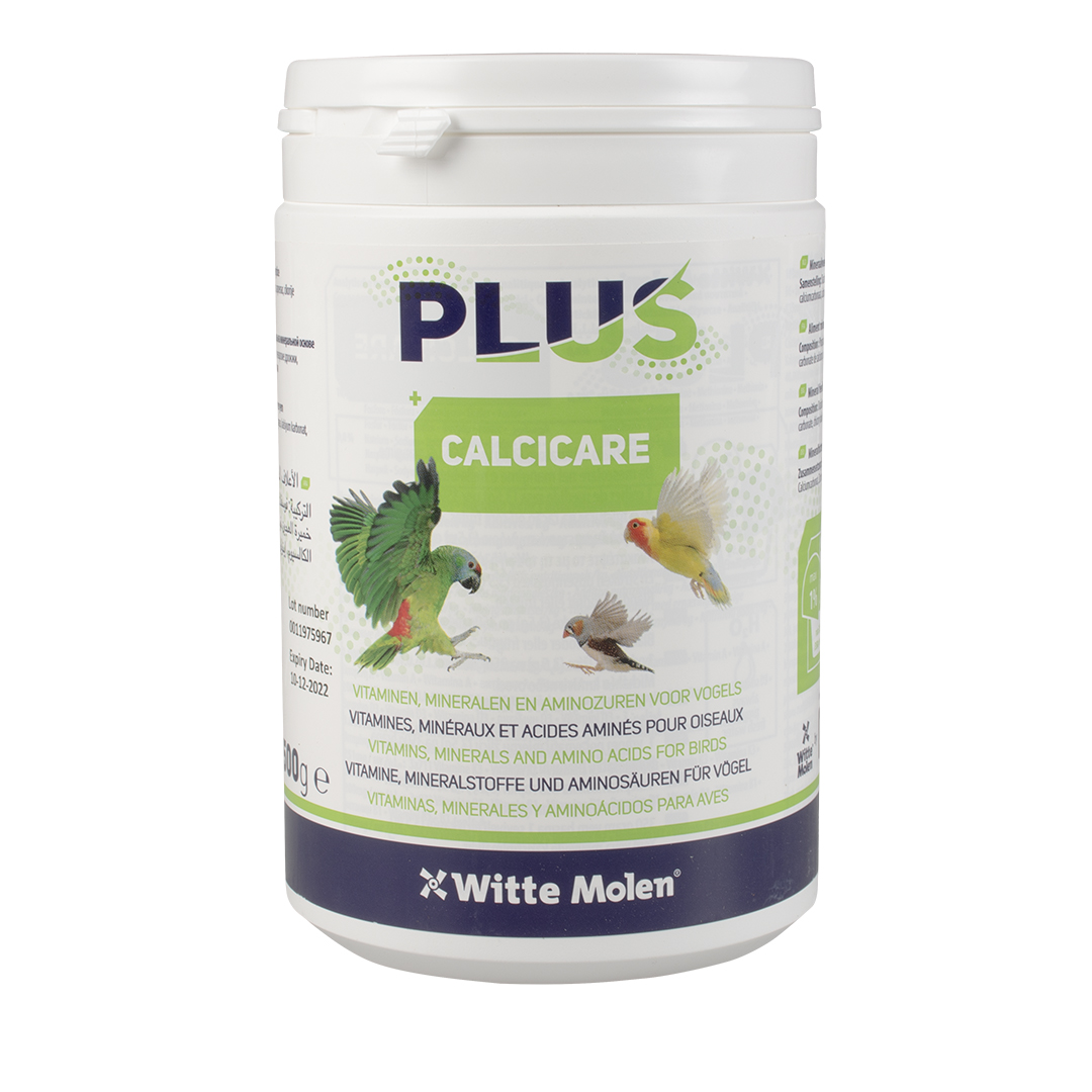 Calcicare 40+-calcium pour oiseaux