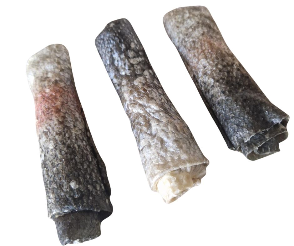 Rouleaux de saumon-friandise naturelle pour chien