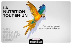Versele lage nutribird granulés extrudés pour tous les oiseaux