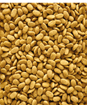 Nutribird P15 original-granulés extrudés-photo produit