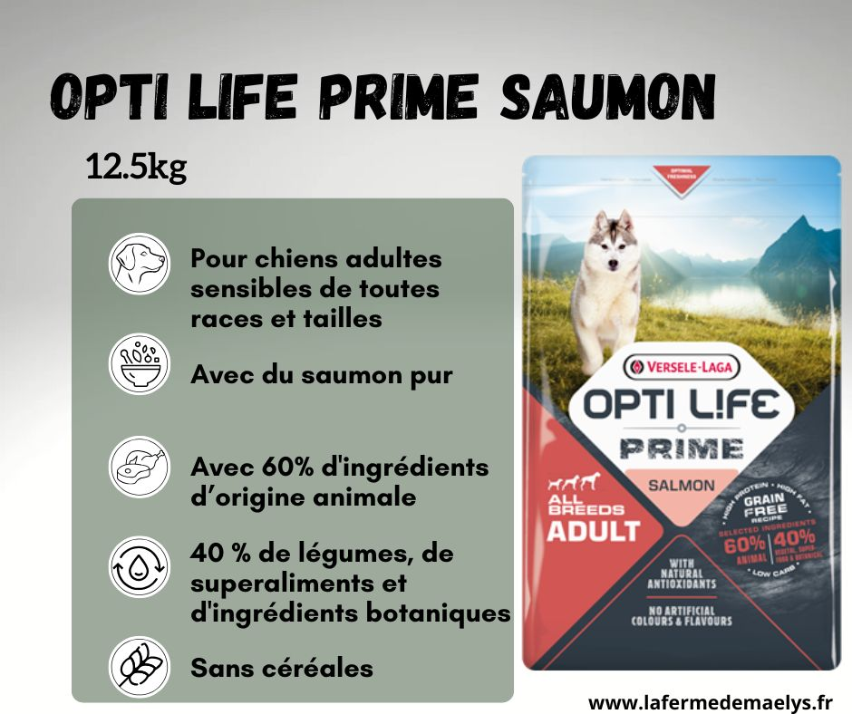 Opti life prime salmon all breeds adult 12.5kg-croquettes sans céréales au saumon pour chiens adultes