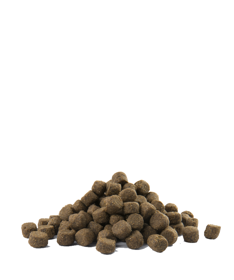 Opti life prime salmon all breeds adult 12.5kg-croquettes