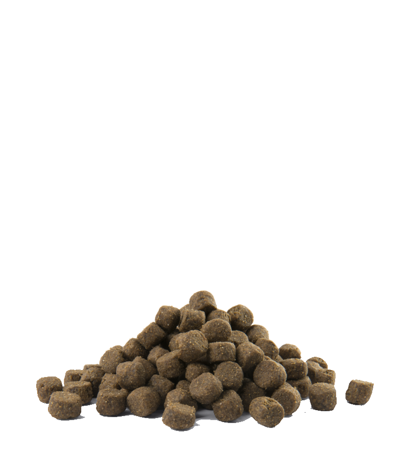 Opti life prime chicken all breeds adult 12.5kg-croquettes